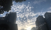 阳光短暂重庆今天好天气继续明起雨水在路上