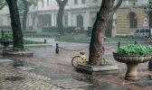 今日江苏各地有雷雨 伴有雷雨时8-9级大风