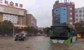 甘肃多地遭大暴雨袭击 白龙江岷江等河流发生超警戒洪水