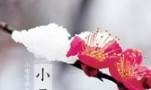 小雪节气话饮食 多吃暖身去火的食物对身体有好处