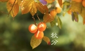 春祭日秋祭月 秋分习俗知多少