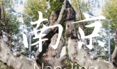 南京四日游详细攻略 南京四日游旅游攻略2020