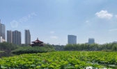 内蒙古降雨高温持续在线 局地气温冲击35℃