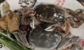 醉蟹的家常做法 醉蟹怎么做好吃