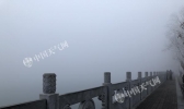 湖北多地遭大雾封锁 明夜起迎雨雪大风气温“跳水”