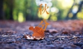 今日雨水来扰 气温降