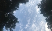 【重庆】今晨重庆多地遭遇浓雾袭击多条高速交通管制