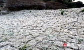 今晨广西部多地现霜冻 农作物生成受影响