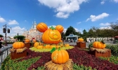 10月19/20日上海迪士尼运营时间调整 2019年秋季奇跑迪士尼活动赛事包领取时间
