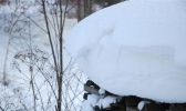 “积雪”是什么意思 一起看看吧