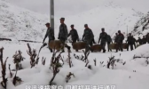 新疆5月大雪封山有什么影响？边防徒步给牧民送粮