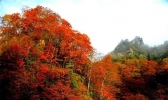 四川光雾山红叶节 2019时间+观赏路线推荐
