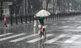 上海今日出梅较常年偏晚11天 今年梅雨期长达42天刷新高