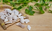 吃药能喝茶吗