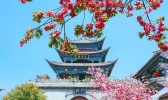 大理古城游玩方式推荐 大理古城怎么玩