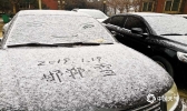 河北邯郸迎2019年第一场雪 市区银装素裹