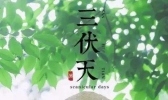 2020三伏天超长待机40天！今日入伏华南局部超40℃