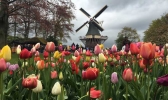 荷兰旅游最佳时间 荷兰好玩的景点有哪些