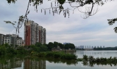 今明天湖南中北部局地有暴雨 南部暑热持续