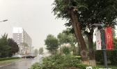 北京今日下午突迎风雨