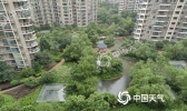 安徽今起三天仍多雨 合肥芜湖等地有大到暴雨