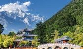 去丽江跟团好还是包车好