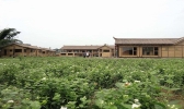 蜀南茉莉香都是说哪里