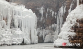 河北漳河现冰瀑奇观 犹如岩石般坚韧挺拔