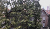 今明天有降雨降温！