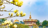 2019重庆乐和乐都中秋门票有优惠吗