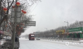 山西太原迎大范围降雪 雪花漫天飞舞