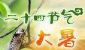 关于“大暑”这个节气 小编为您详解