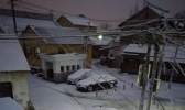 上海迎来农历猪年初雪 地面屋顶见白