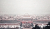 京城又飞雪 梦回紫禁城