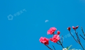 晴热高温“盘踞”湖南 今天部分地区最高气温或达37℃