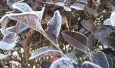明后天广东最低温仍在5℃以下 22日起气温将回升