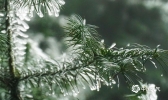 贵州黎平气温略升 山顶雨凇渐消融