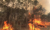 云南1天内发生5起森林火灾 森林防火形式严峻