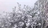【广东】今晨广东最低气温仅4.4℃ 未来冷空气活动趋于减弱