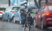 广东多地风雨交加20℃左右 粤西珠江一带持续大暴雨