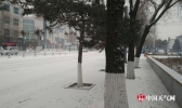 内蒙古多地降今冬以来第一场雪 未来局地有暴雪