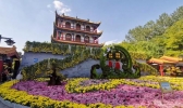 2019银川菊花展是什么时候+地点+介绍