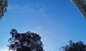 又是一个热、晒、烤的双休日！