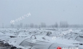 江苏暴雪农业致灾电力受损 6-8日低温雨雪冰冻又至