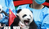 转发提醒！2020年假期全部结束