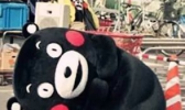 人类现有环境易致肥胖的原因是什么？为什么人类环境易致肥胖？