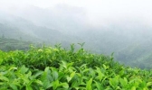 佛山春游爬山好去处