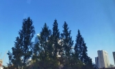 【上海】下周天气等你揭晓