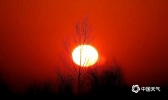 冬日太阳岛红润夕阳美如绝句