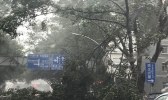 “天鸽”减弱为台风级 今夜进入广西风雨波及6省区